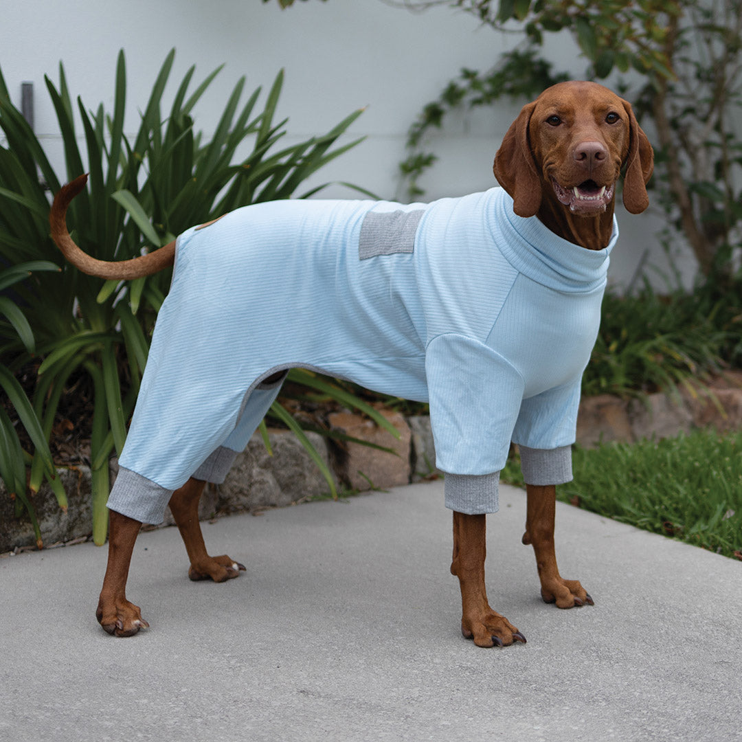 Long John Dog Pyjamas - Blue – Kazoo Pet Co