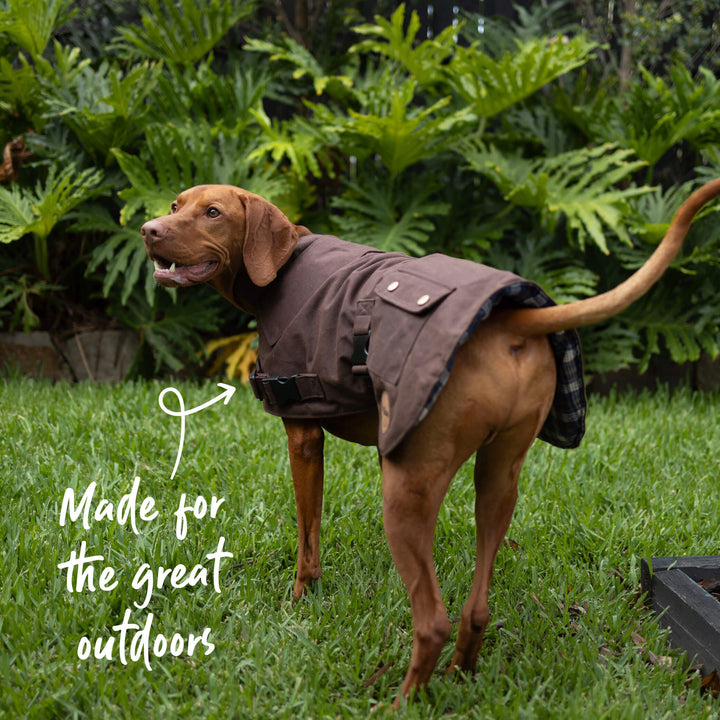 Aussie Oilskin Waterproof Dog Coat - Brown