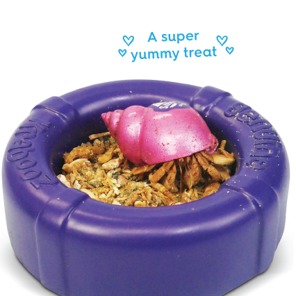 Hermit Crab Daily Food - 70g