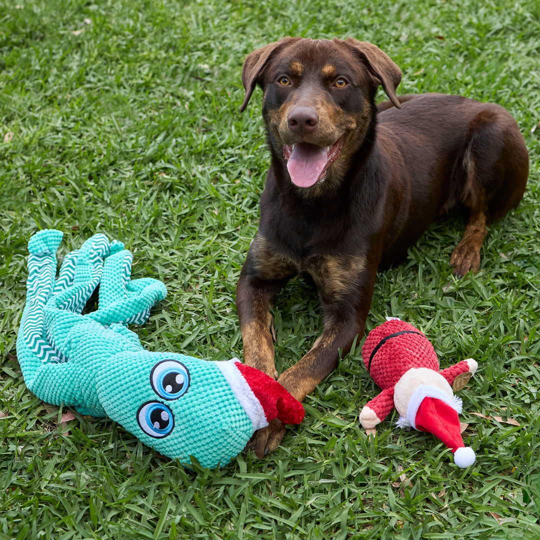 Squeaky Santa Dog Toy