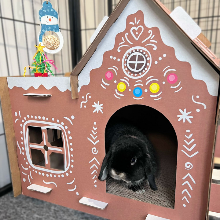 Kitty Christmas Cardboard Gingerbread Cottage