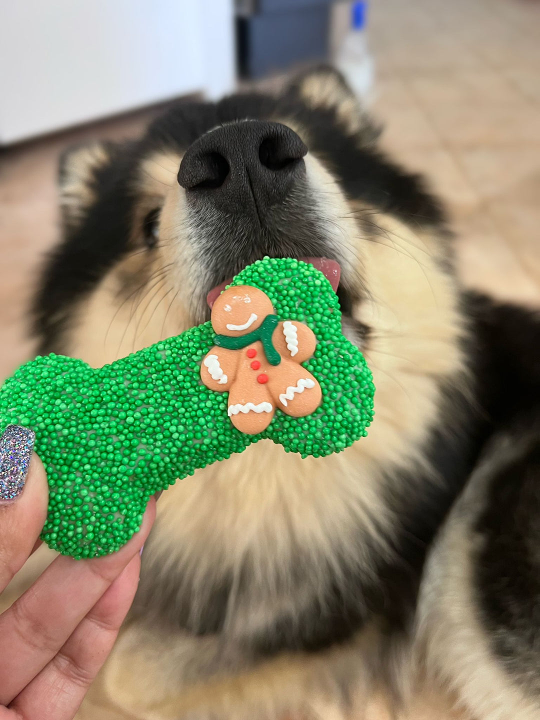 Christmas Bone Gingerbread Cookie with Sprinkles