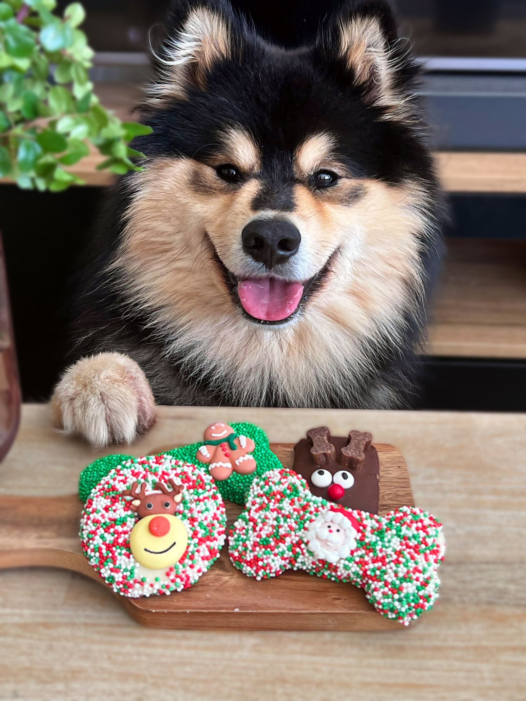 Christmas Bone Gingerbread Cookie with Sprinkles