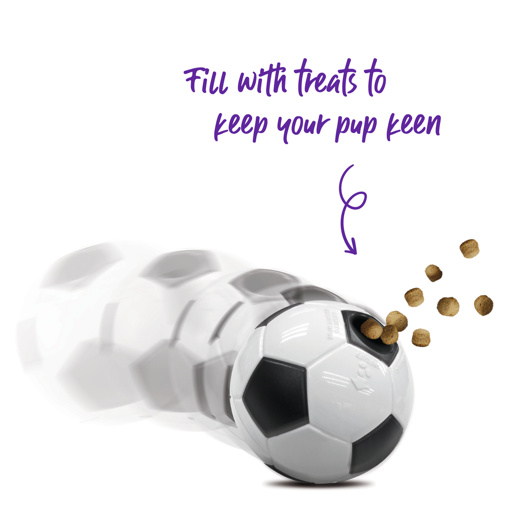 Soccer Treat Ball - Kazoo Pet Co