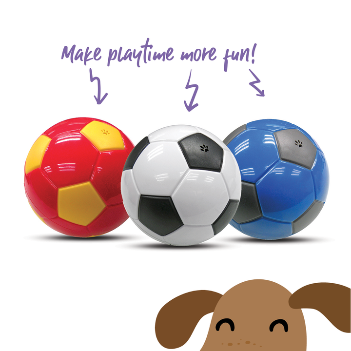 Soccer Treat Ball - Kazoo Pet Co