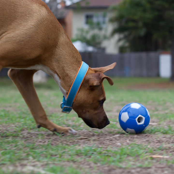 Soccer Treat Ball - Kazoo Pet Co