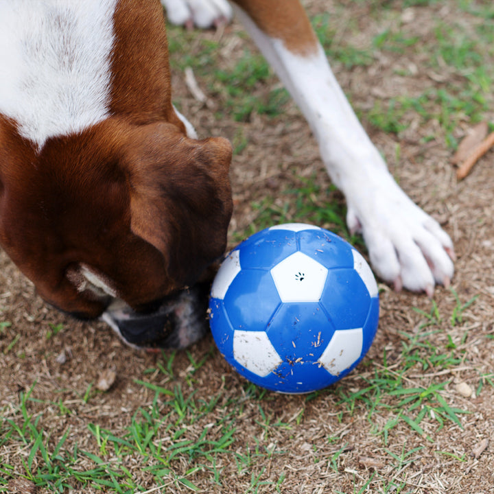 Soccer Treat Ball - Kazoo Pet Co