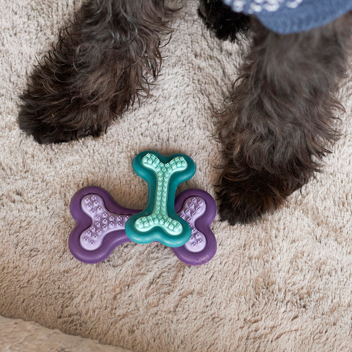 Puppy teether best sale