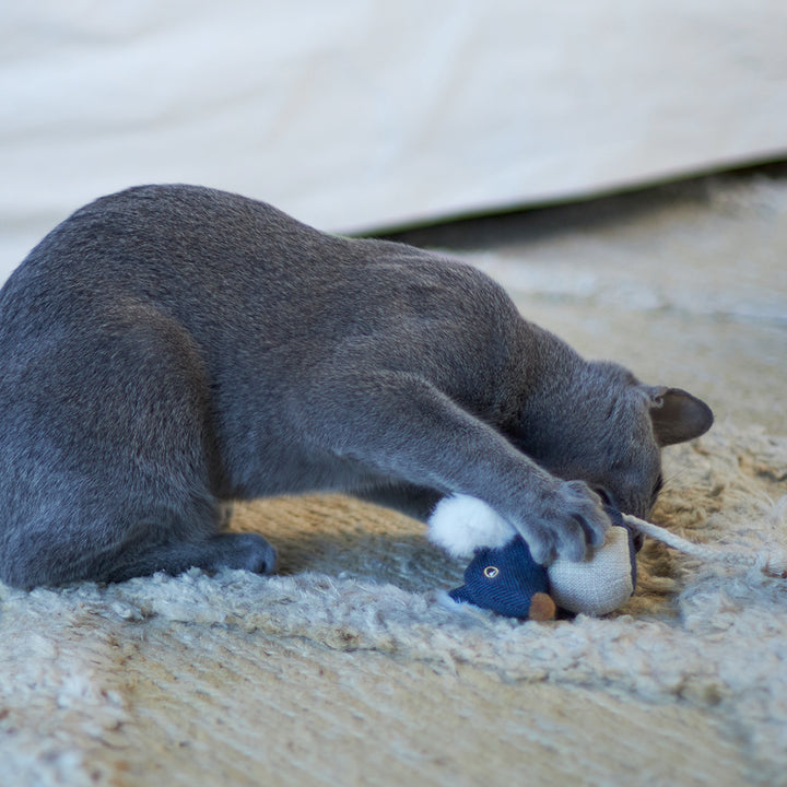 Big Ears Mouse With Catnip Cat Toy