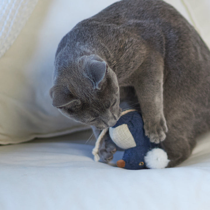 Big Ears Mouse With Catnip Cat Toy