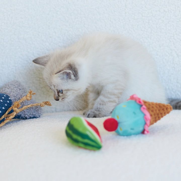 Watermelon Wedge with replacement catnip