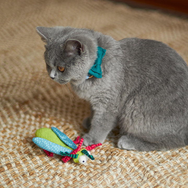 Crinkle Bug with catnip