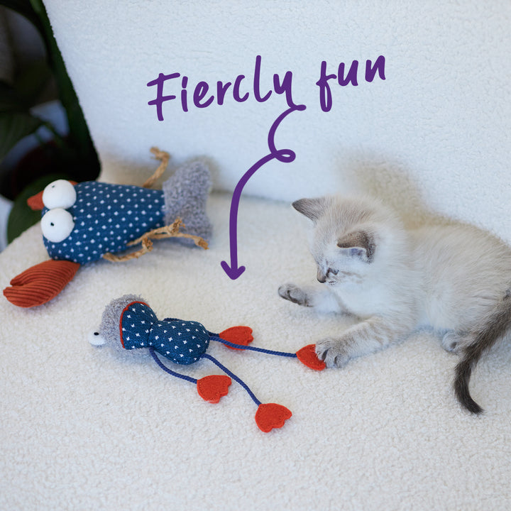 Floppy Frog with catnip