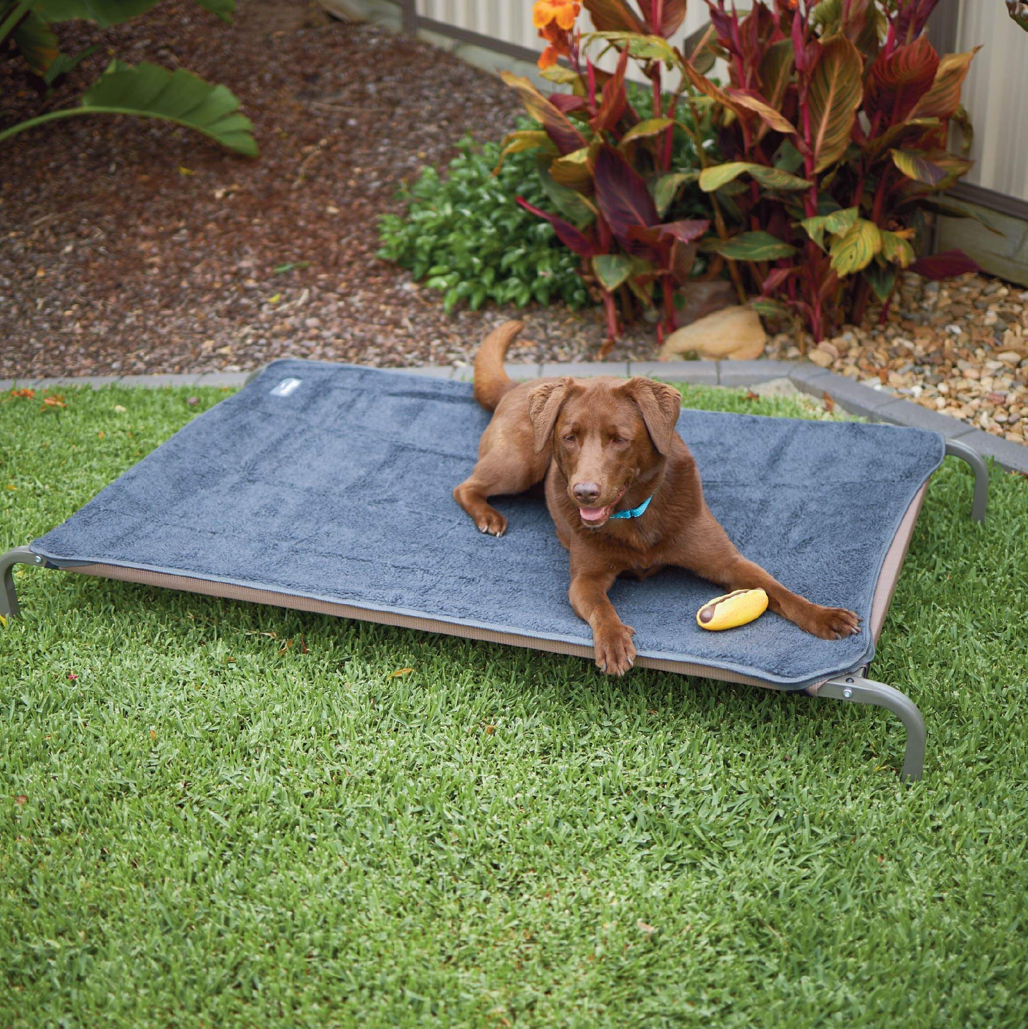 Best dog bed top for rottweiler