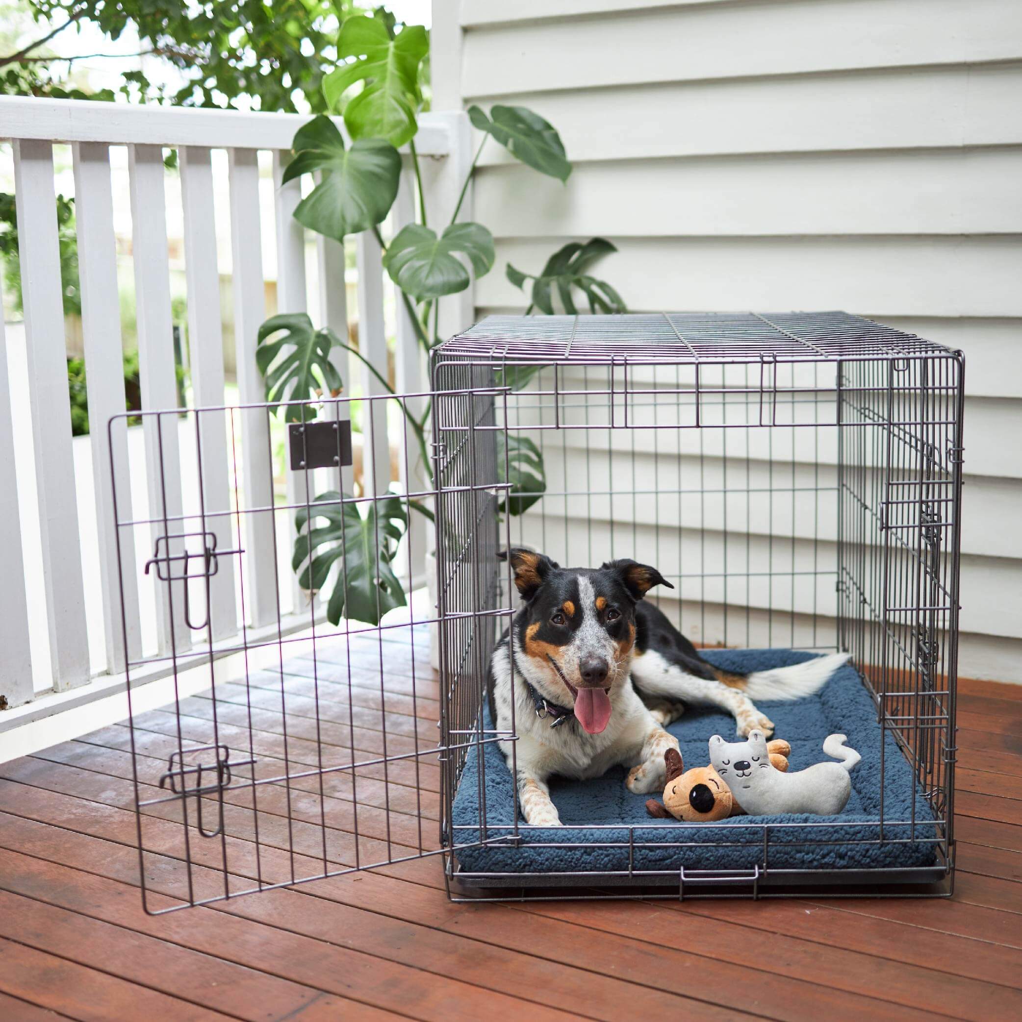 Cushions for shop dog crates