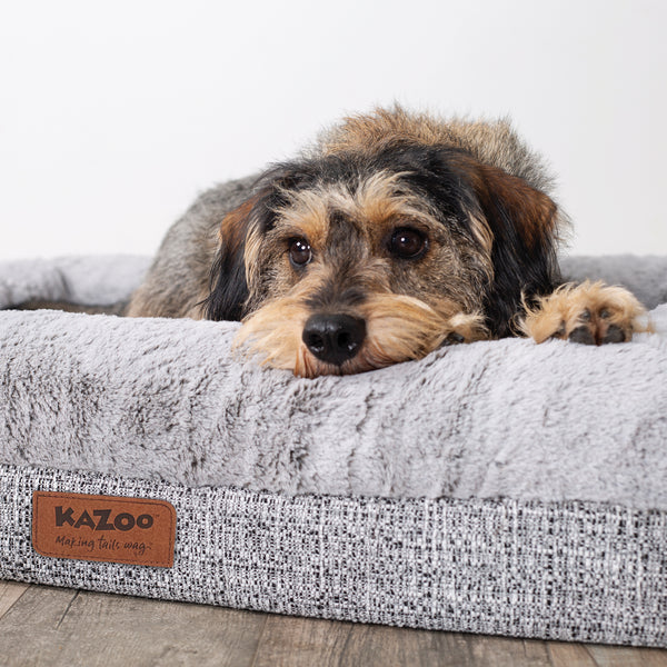 Harmony dog sale bed australia