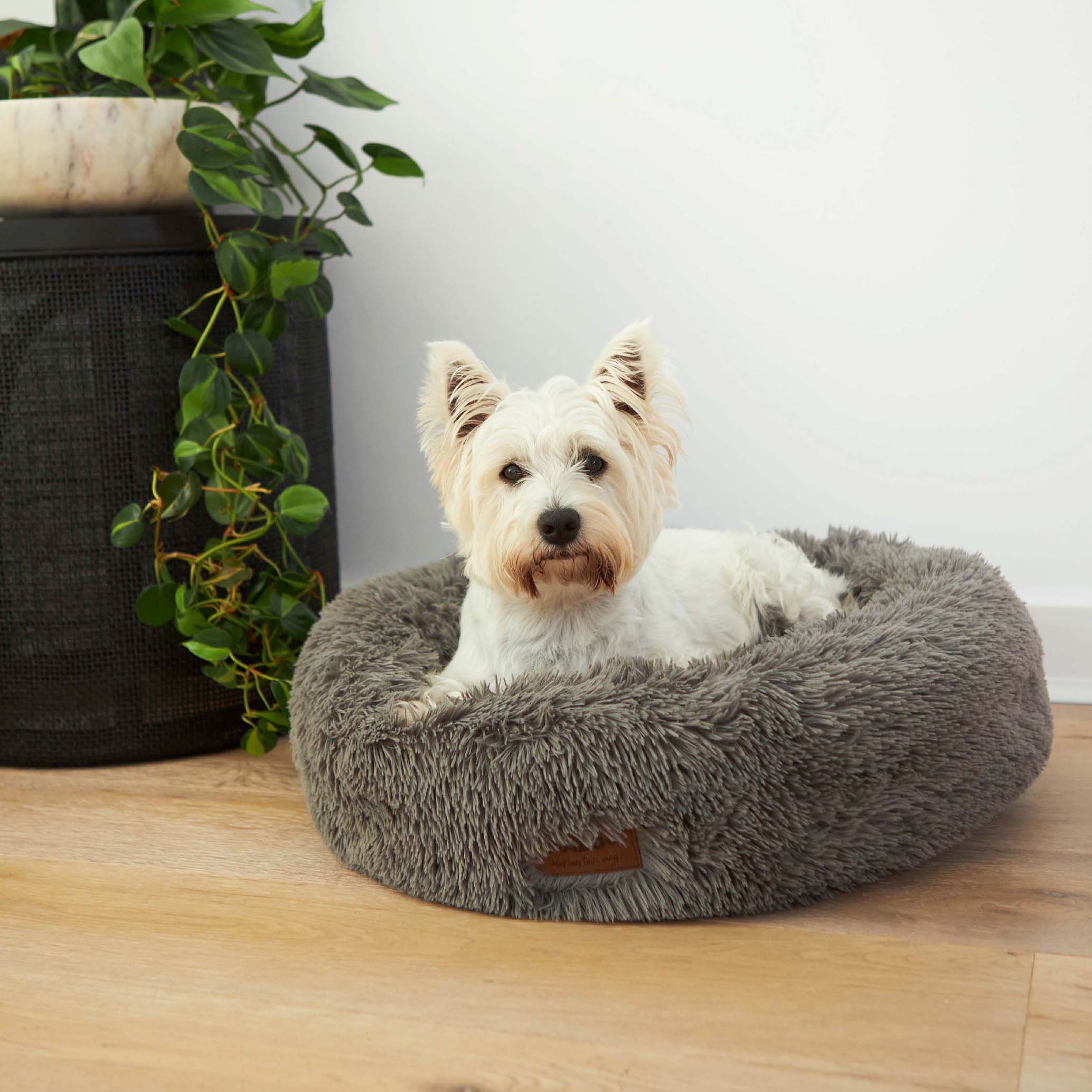 Novelty goodies 2025 calming dog bed