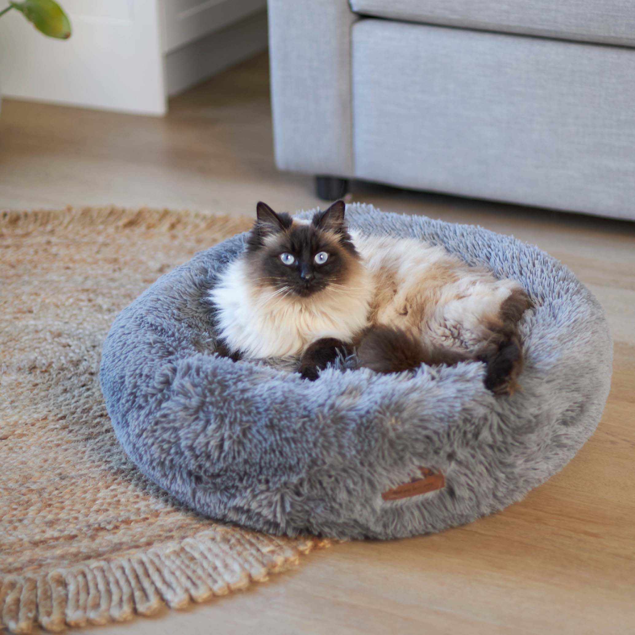 Cat Beds The purrfect range of Australia s best cat beds Kazoo Pet CoTagged Round Beds