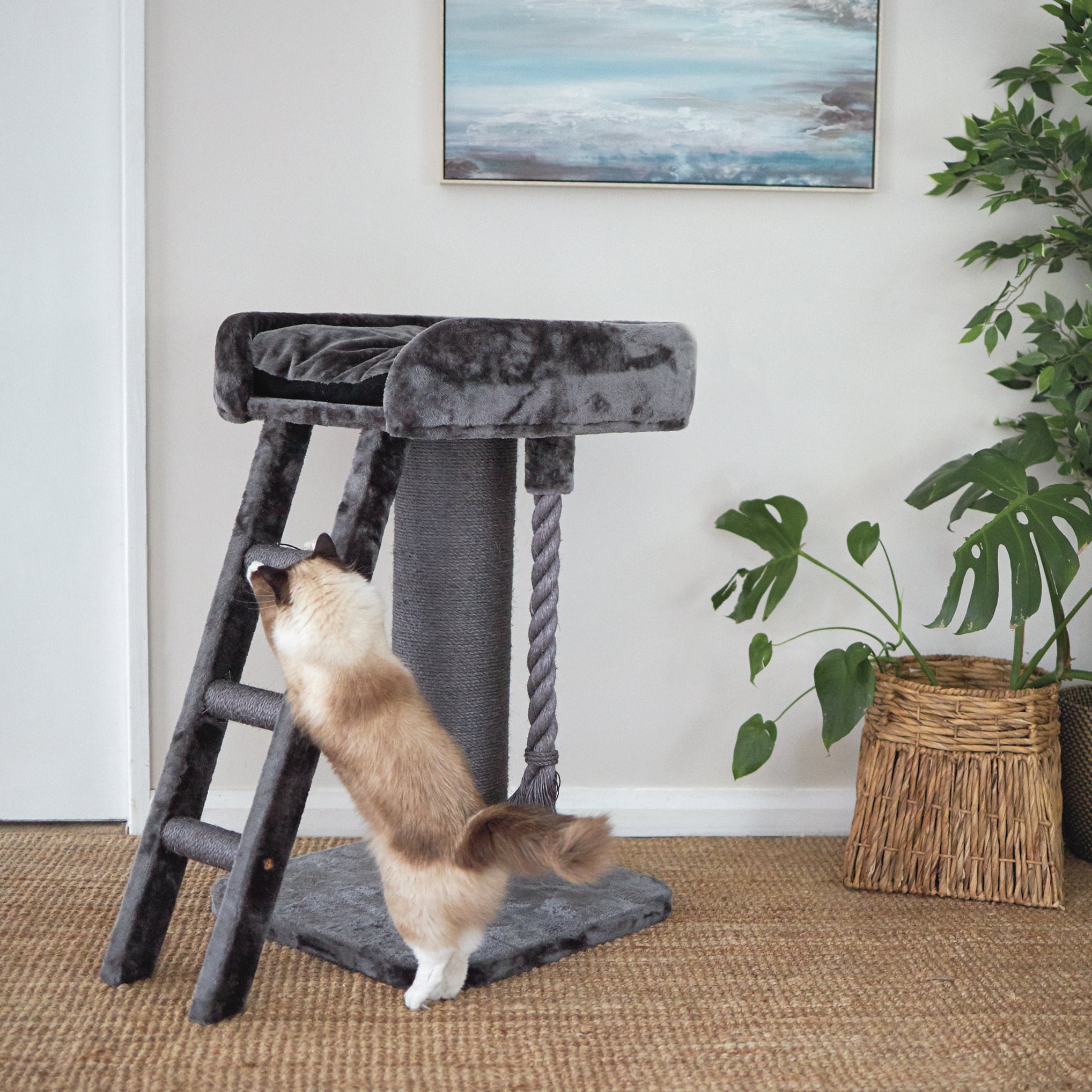 Kazoo high clearance bed scratch post