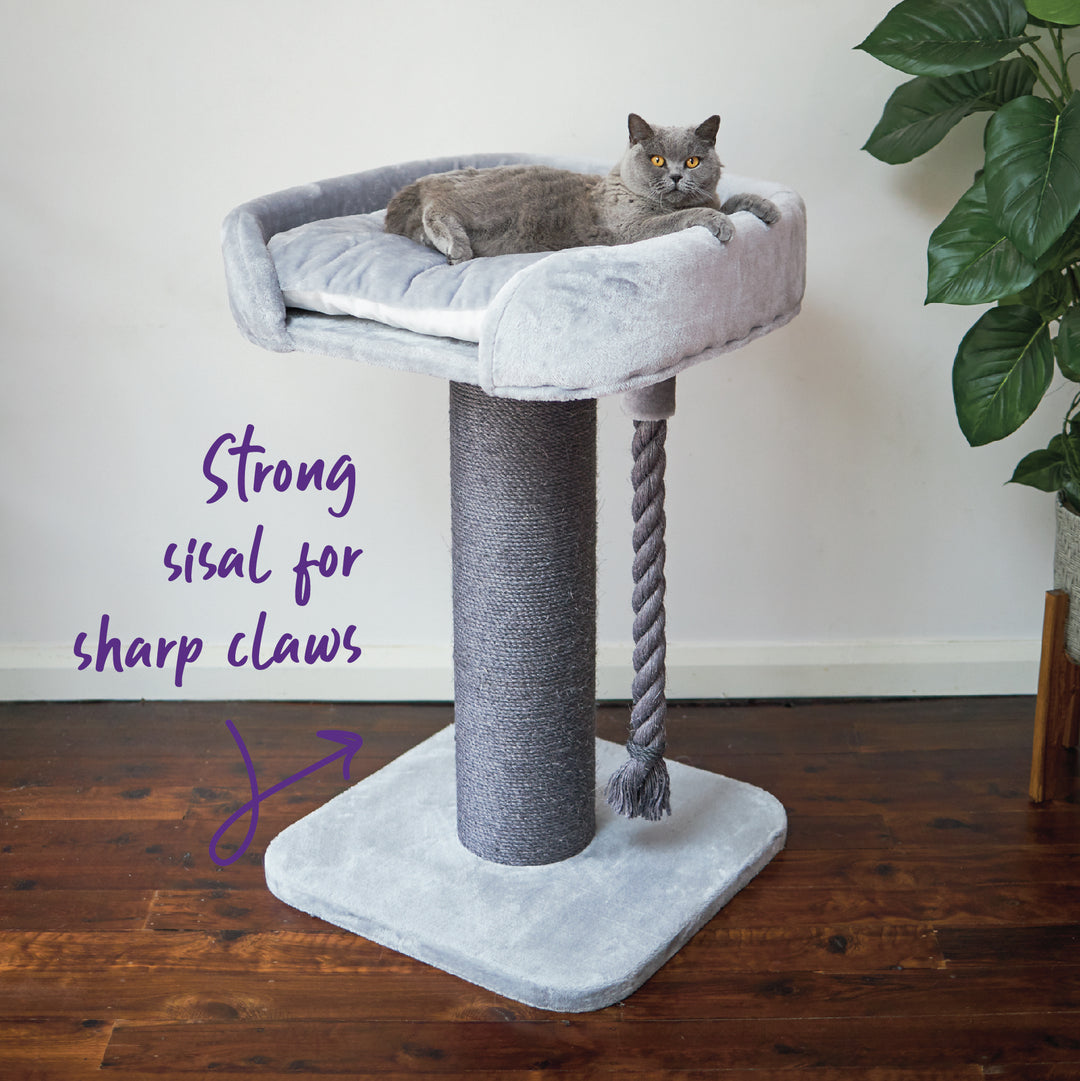 High Bed Cat Scratch Post - Ash Plush