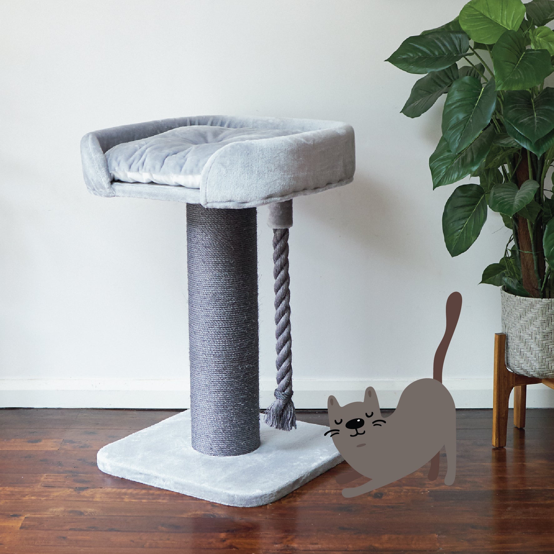 Cat Scratching Posts Cat Trees Towers Kazoo Pet Co