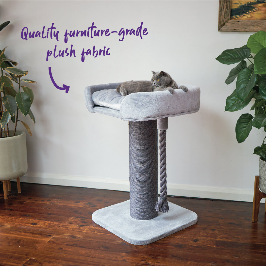 High Bed Cat Scratch Post - Ash Plush