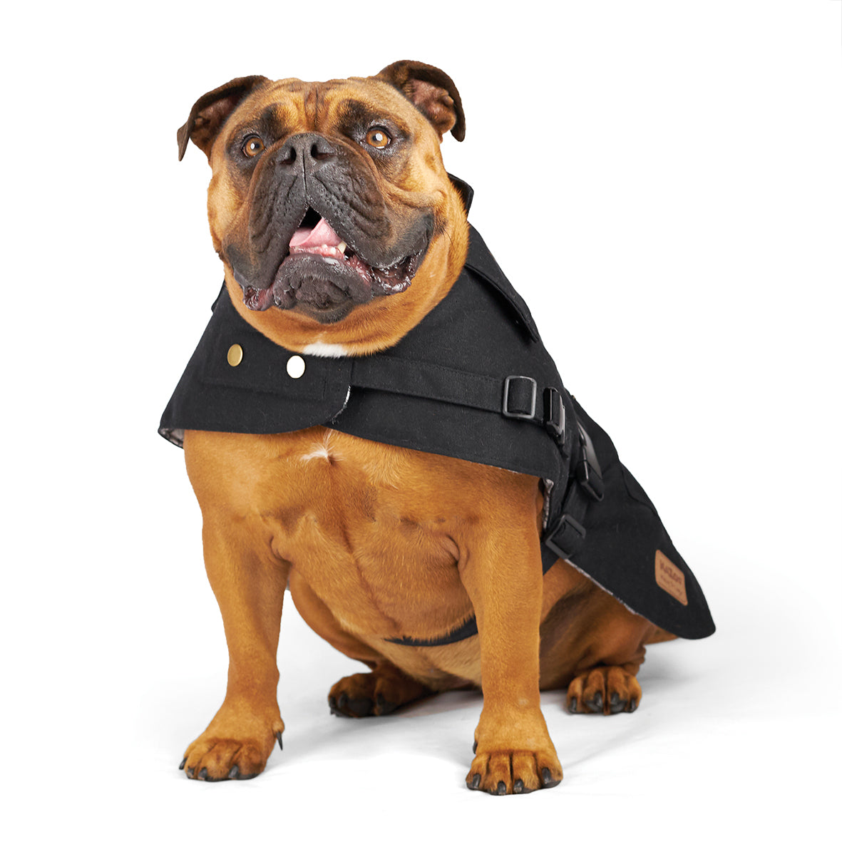 Carhartt dog coat outlet black