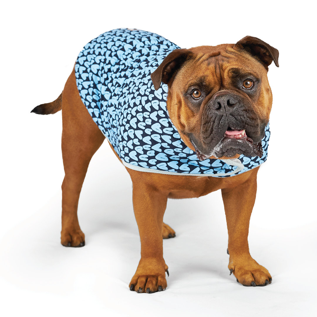 Blue Love Dog Snuggie