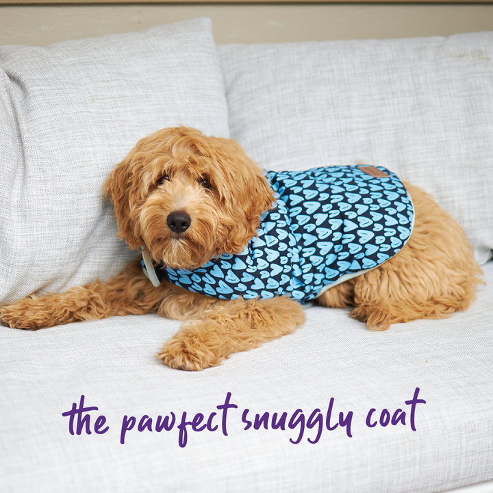 Blue Love Dog Snuggie