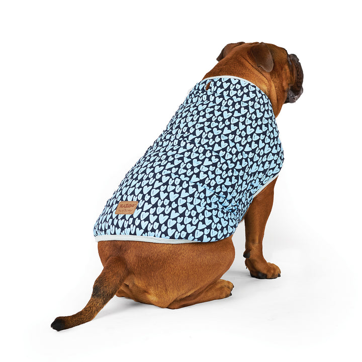 Blue Love Dog Snuggie