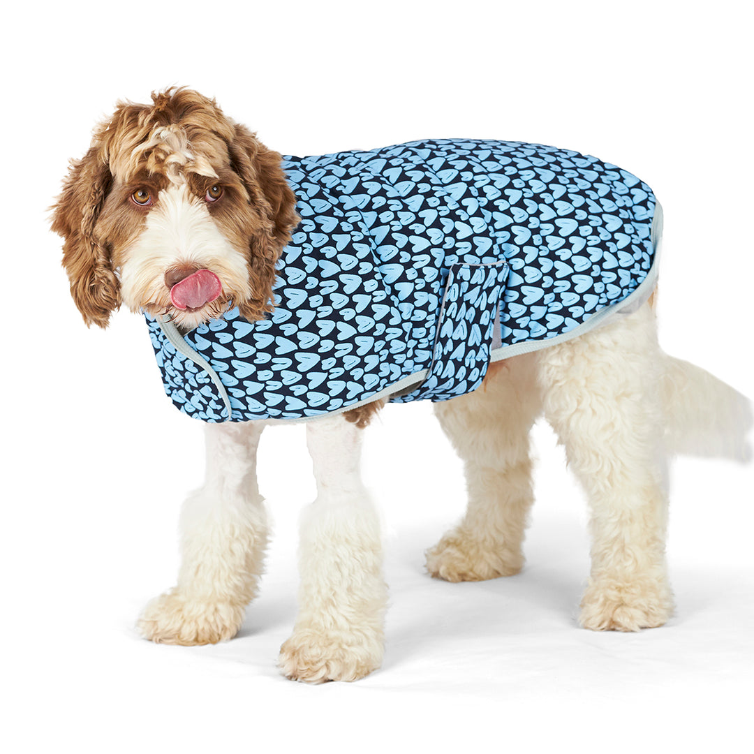 Blue Love Dog Snuggie