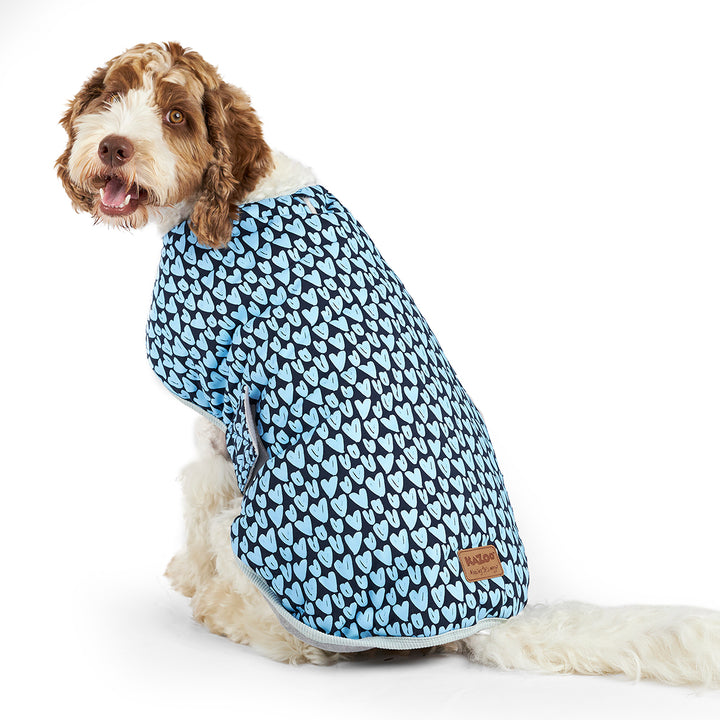 Blue Love Dog Snuggie