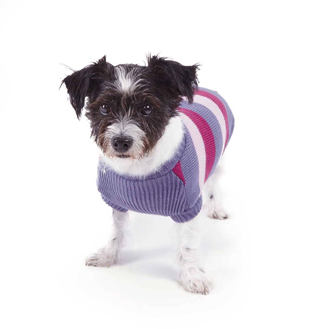 Bumble Dog Jumper - Berry