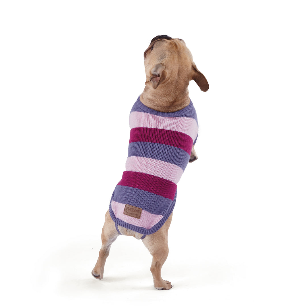 Bumble Dog Jumper - Berry