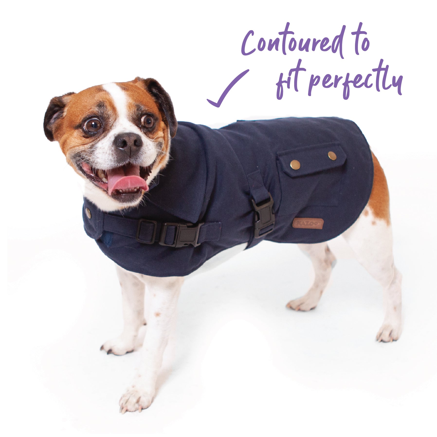 Aussie naturals outlet dog coat