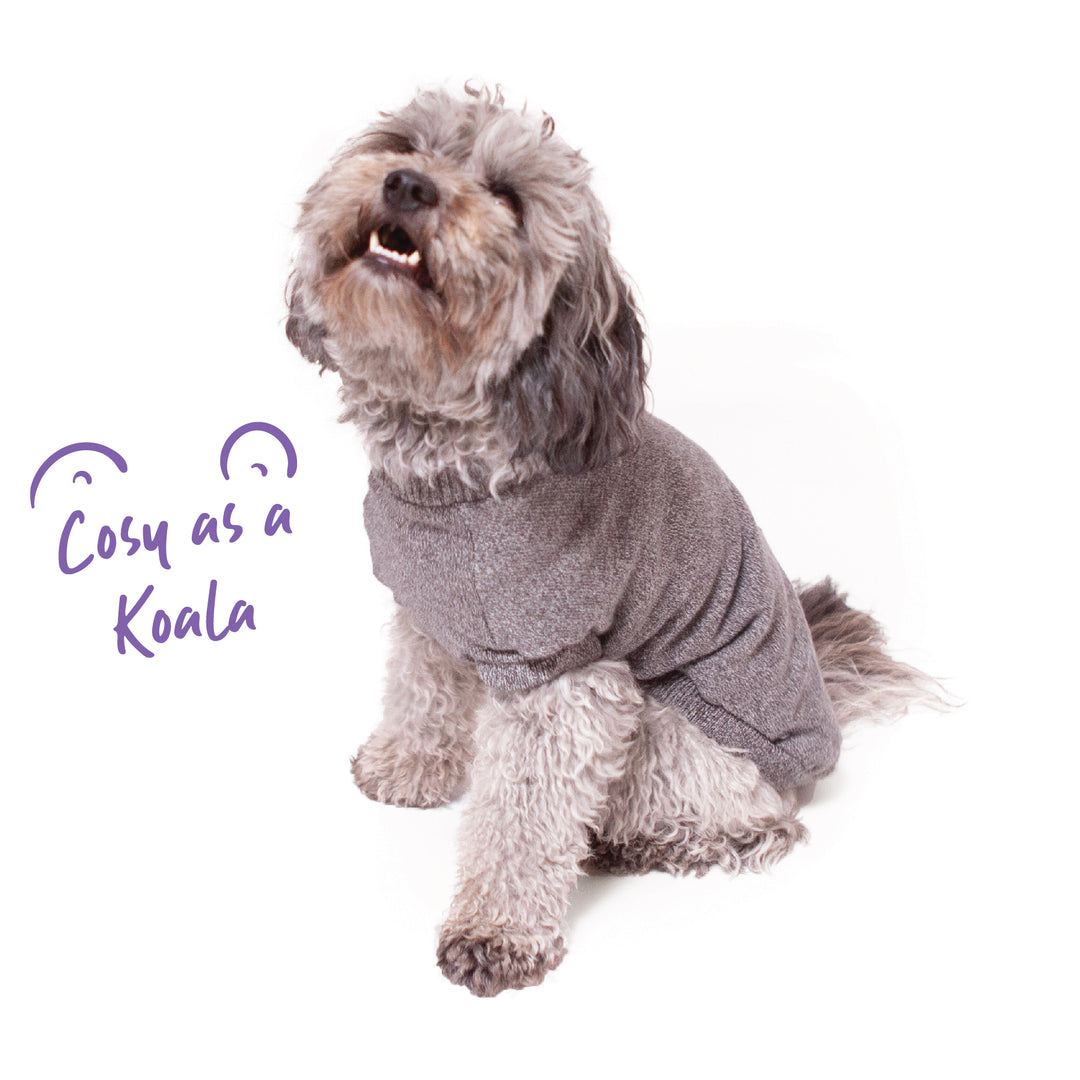 Gumnut Soft Knit Jumper - Kazoo Pet Co