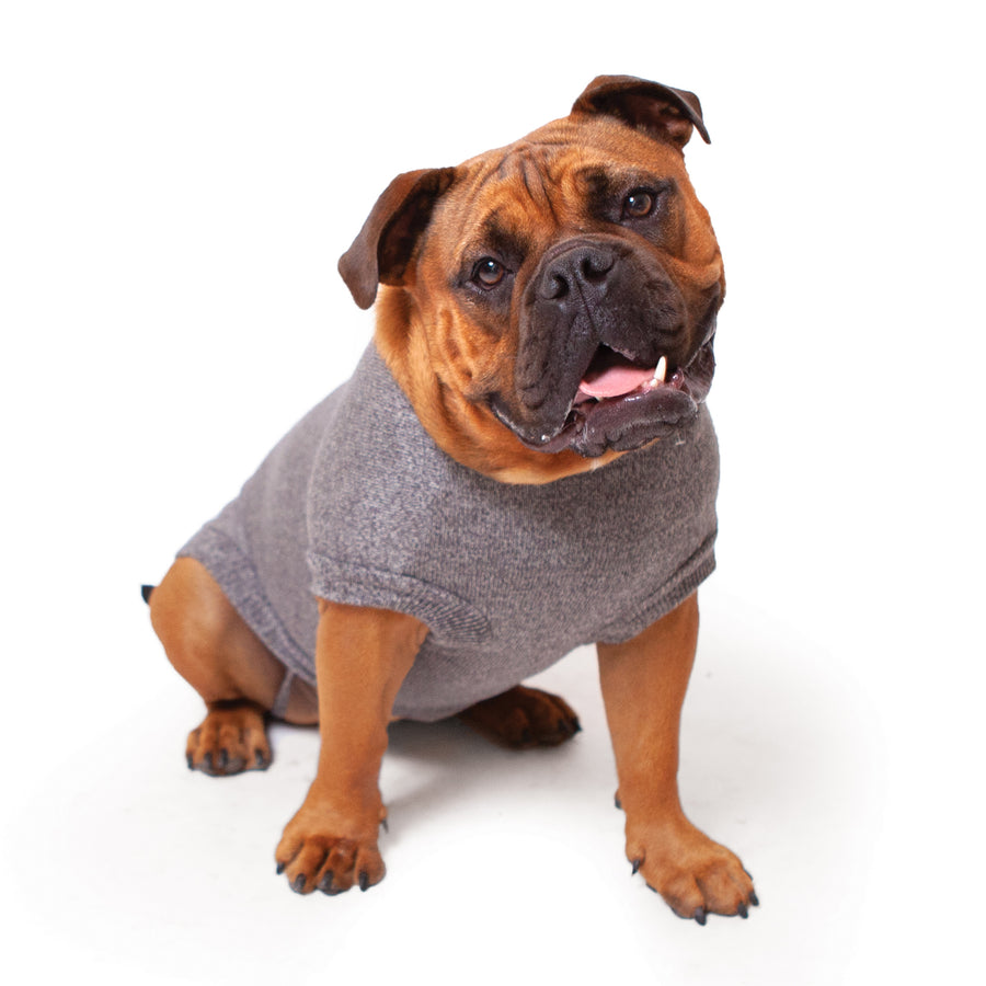 Gumnut Soft Knit Jumper - Kazoo Pet Co