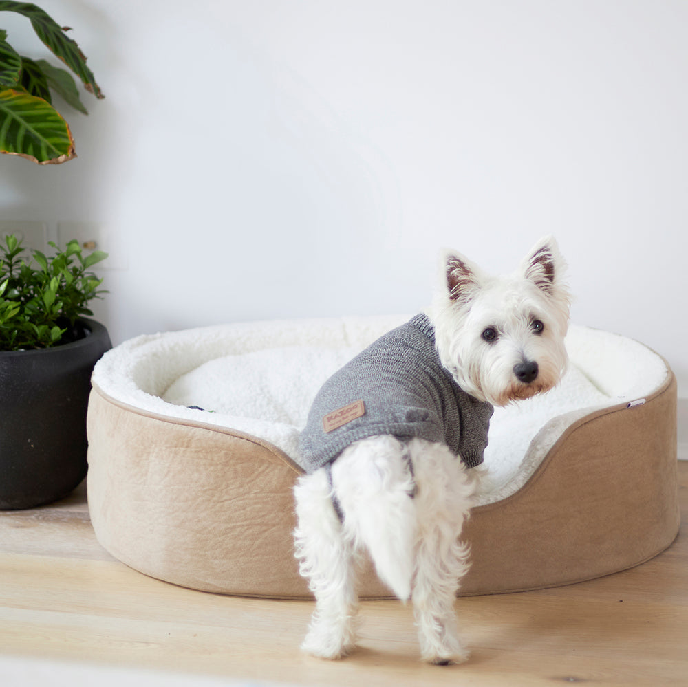 Soft Knit Jumper - Mist - Kazoo Pet Co