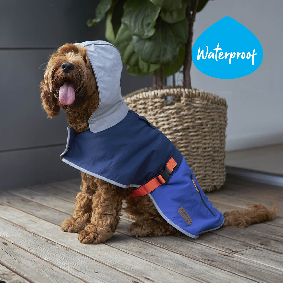 Cosy coats clearance for dogs