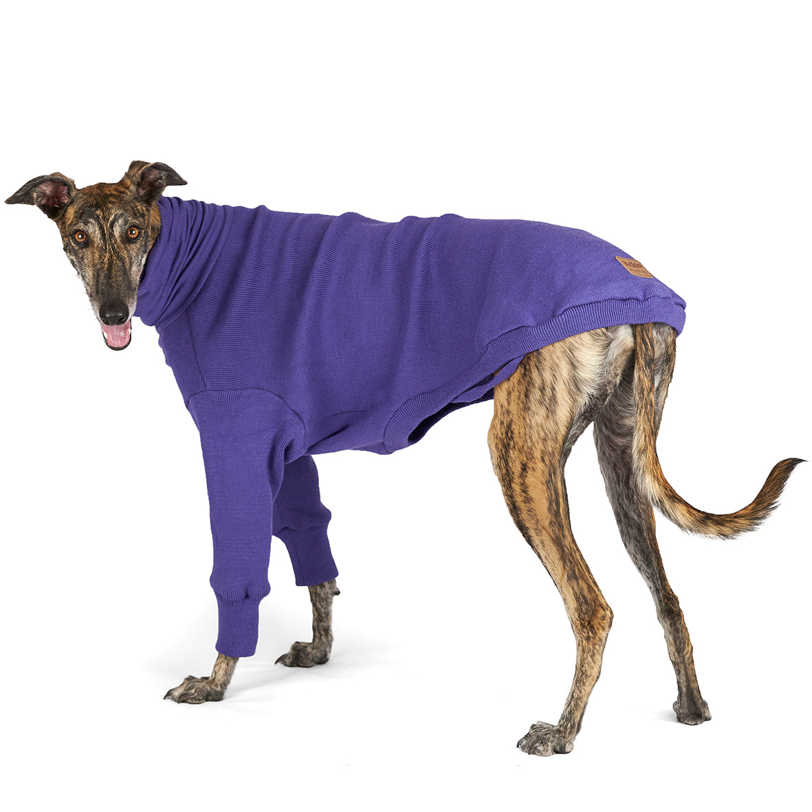 Greyhound Jumper Sundown Kazoo Pet Co