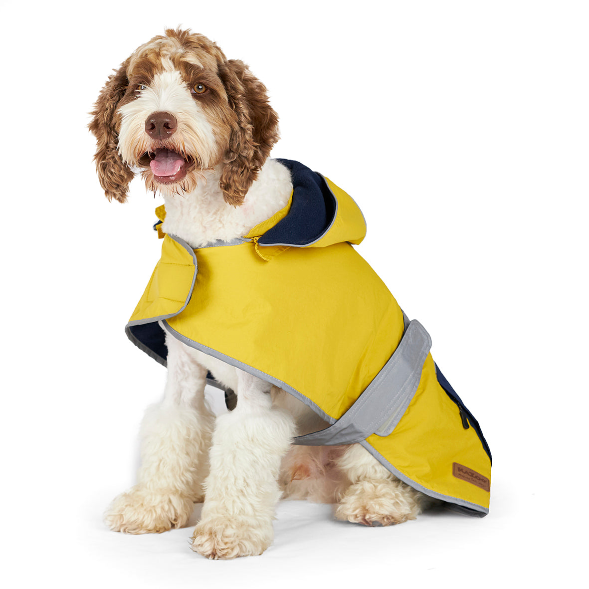 Dog top rain slicker