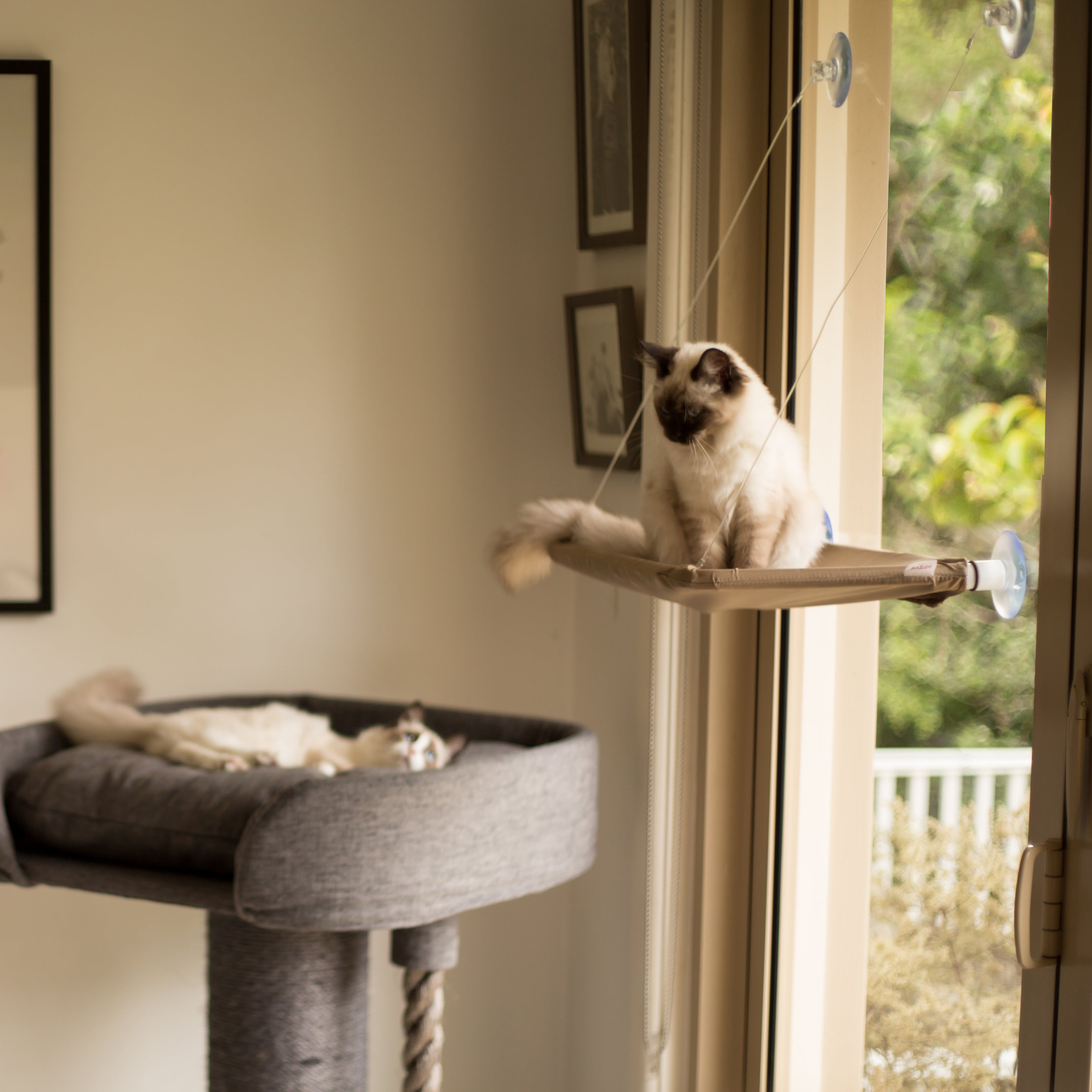 Cat bed outlet attached to window