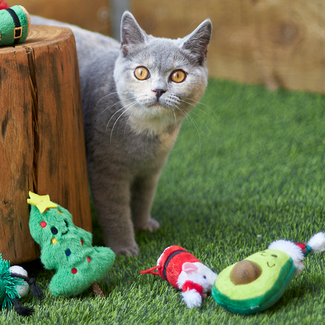 Christmas Cat Toy - Catnip Avocado