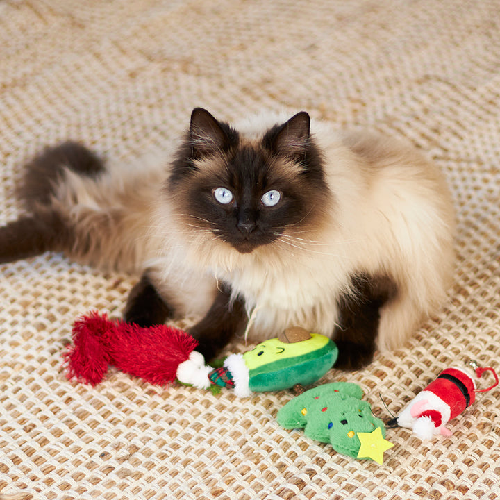 Christmas Cat Toy - Catnip Avocado