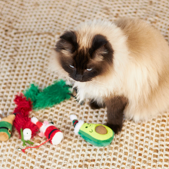 Christmas Cat Toy - Catnip Avocado