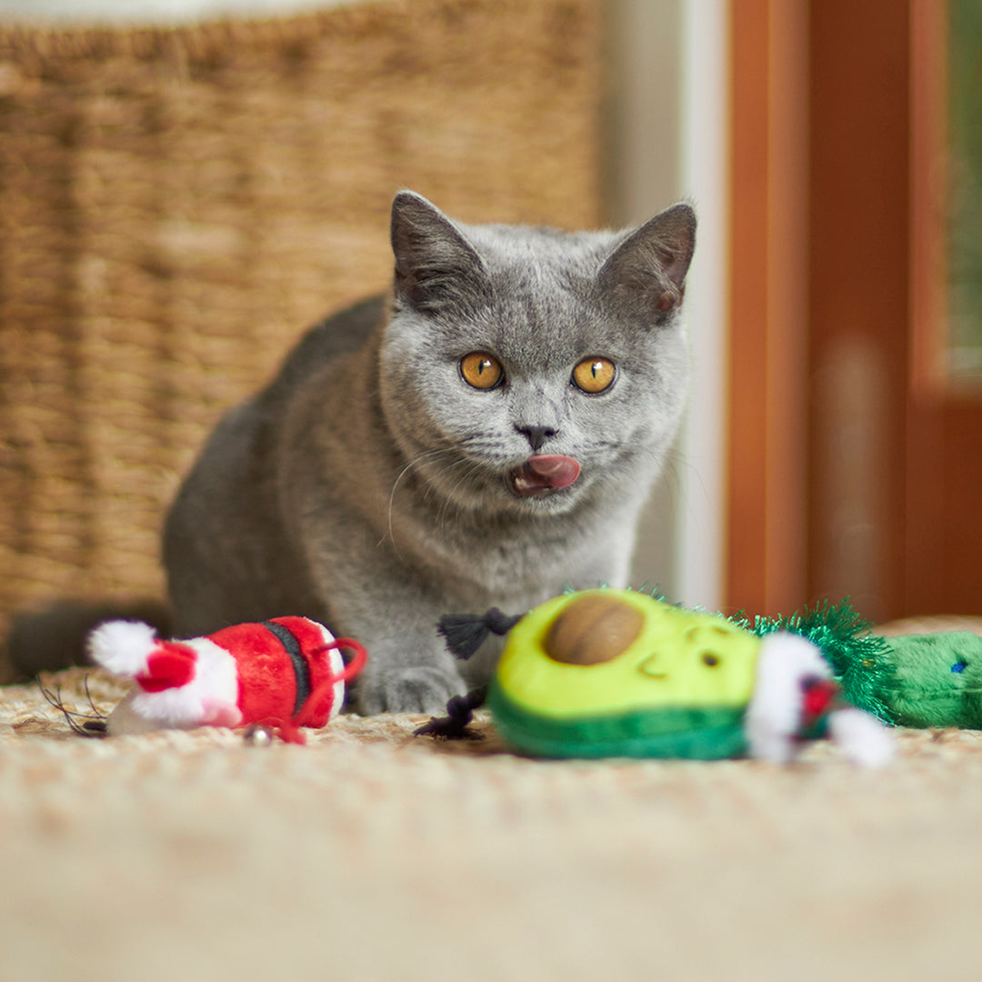 Christmas Cat Toy - Catnip Avocado