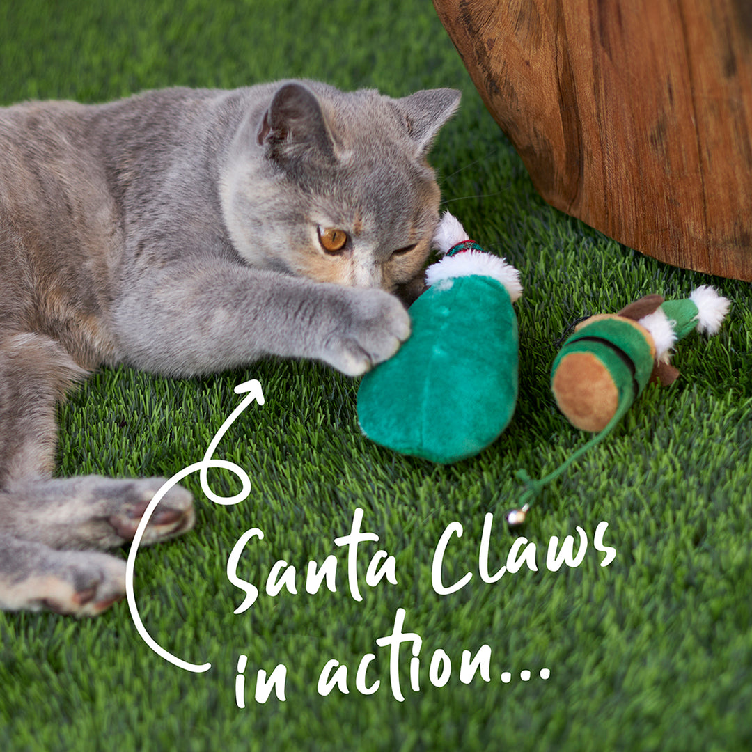 Christmas Cat Toy - Catnip Avocado