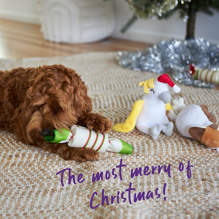 Christmas Cockatoo