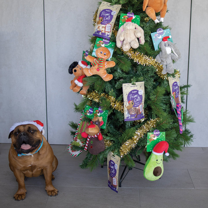 Kazoo Prime Cuts - Christmas Chicken Tenders Dog Treats