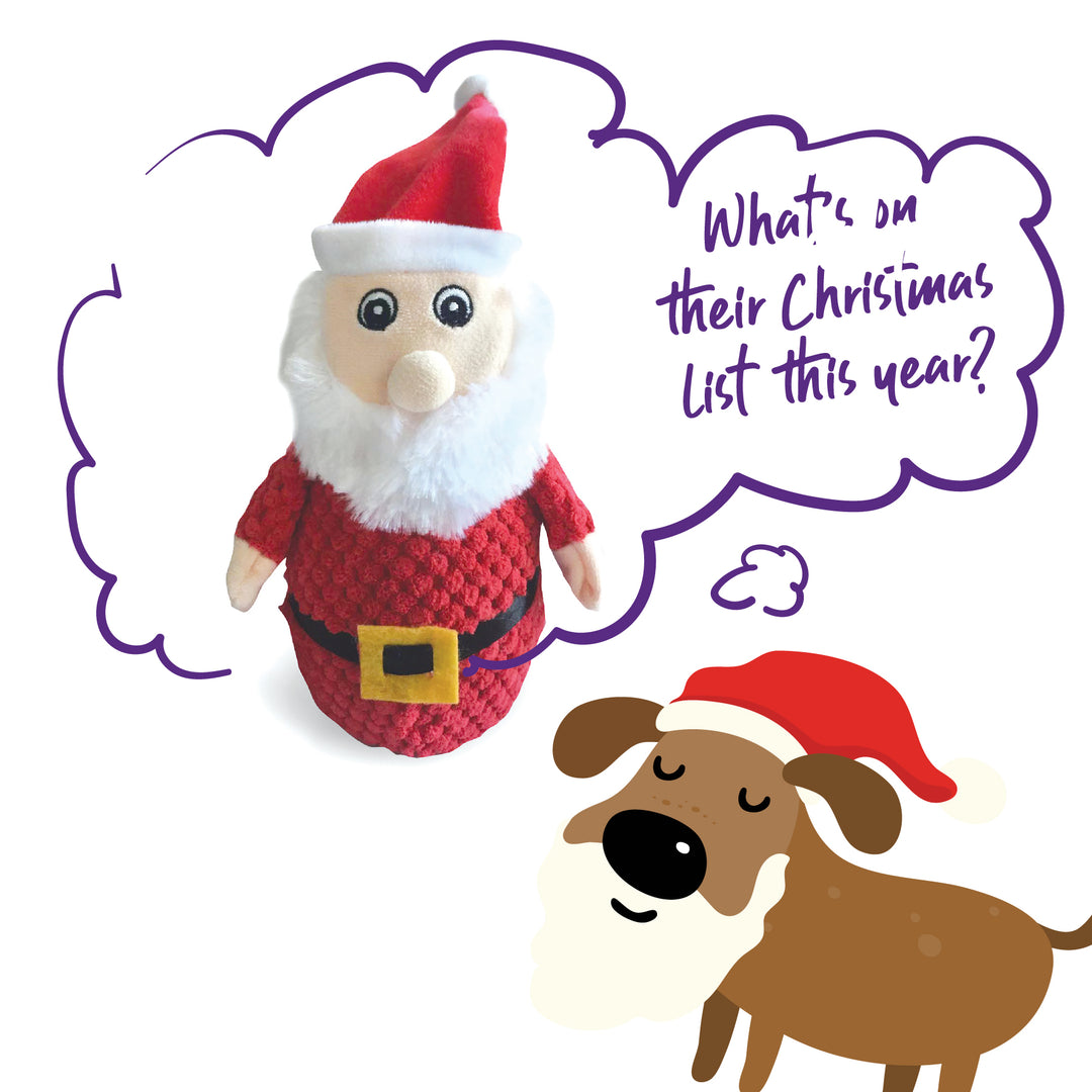 Squeaky Santa Dog Toy